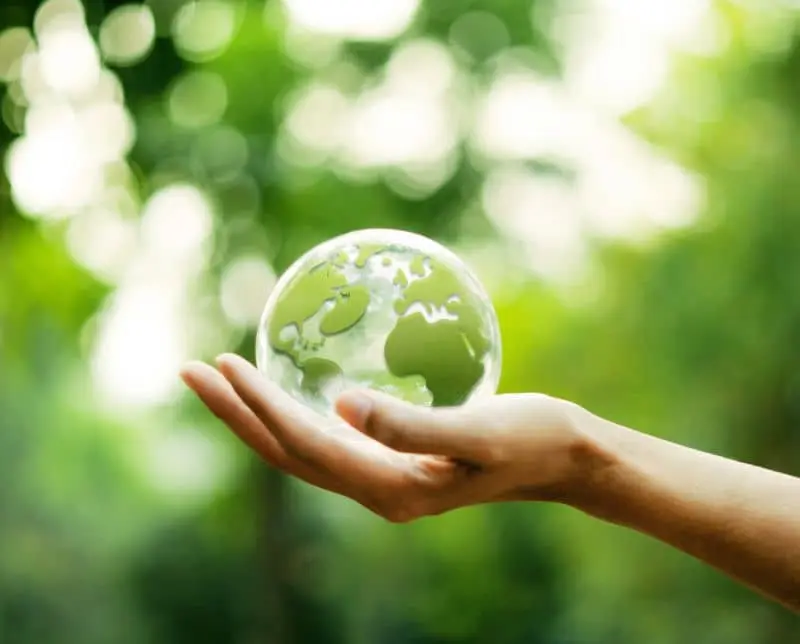 サステナビリティイメージ
